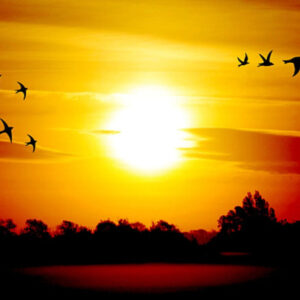 Mastering  Inner & Outer Freedom 3