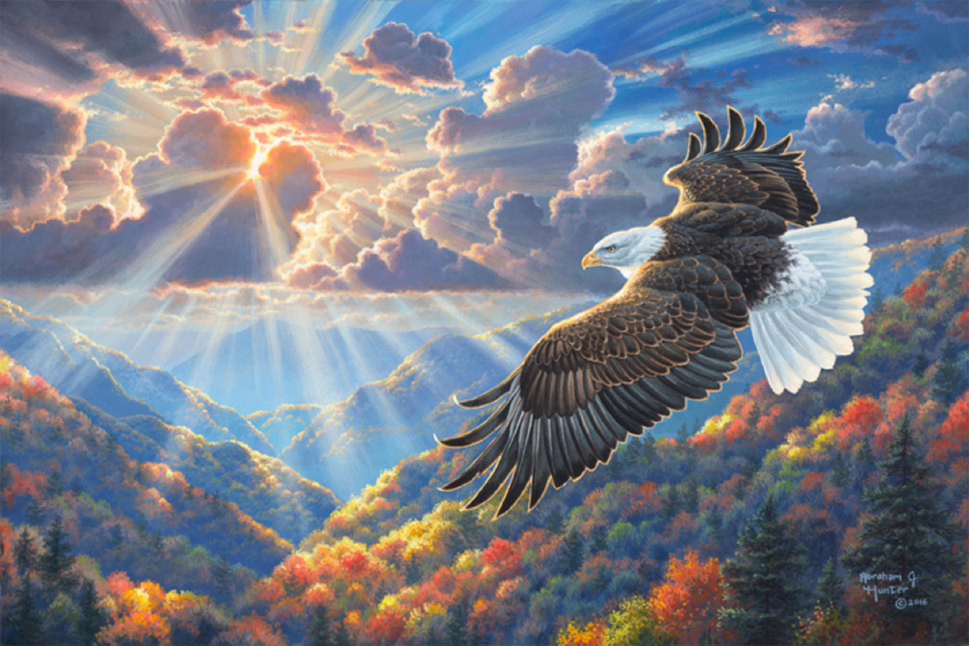 Freedom & Responsibility