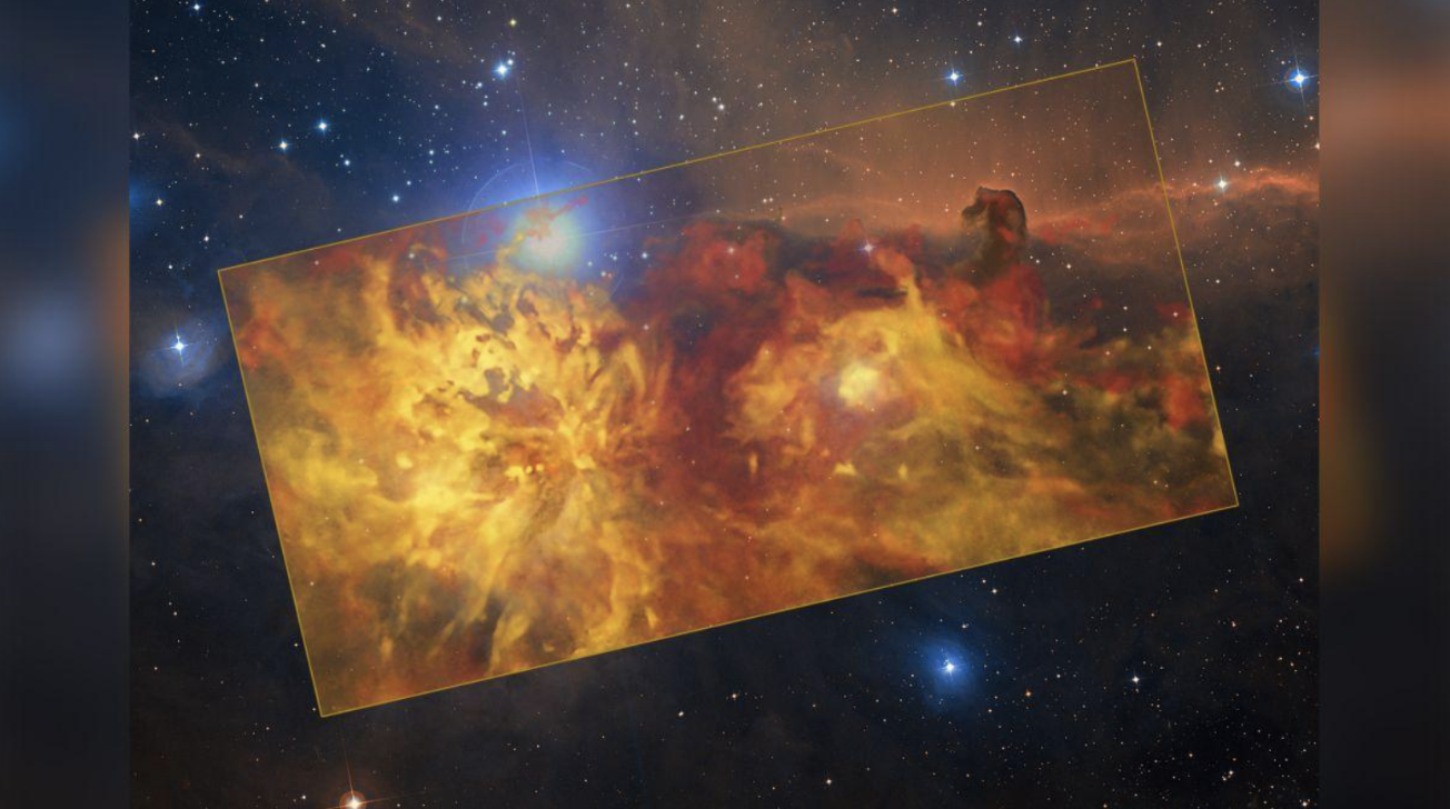 Beauty Will Save the World